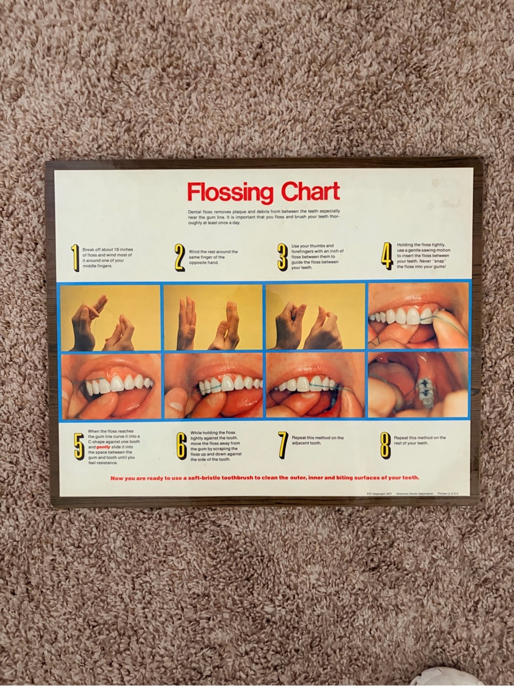Vintage Flossing Chart Wall Poster